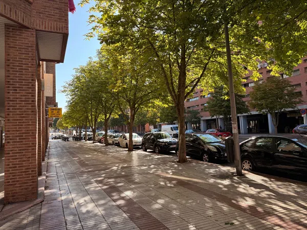 Piso en Calle de la República Eslovaca, 24, Arcos - Foto 41