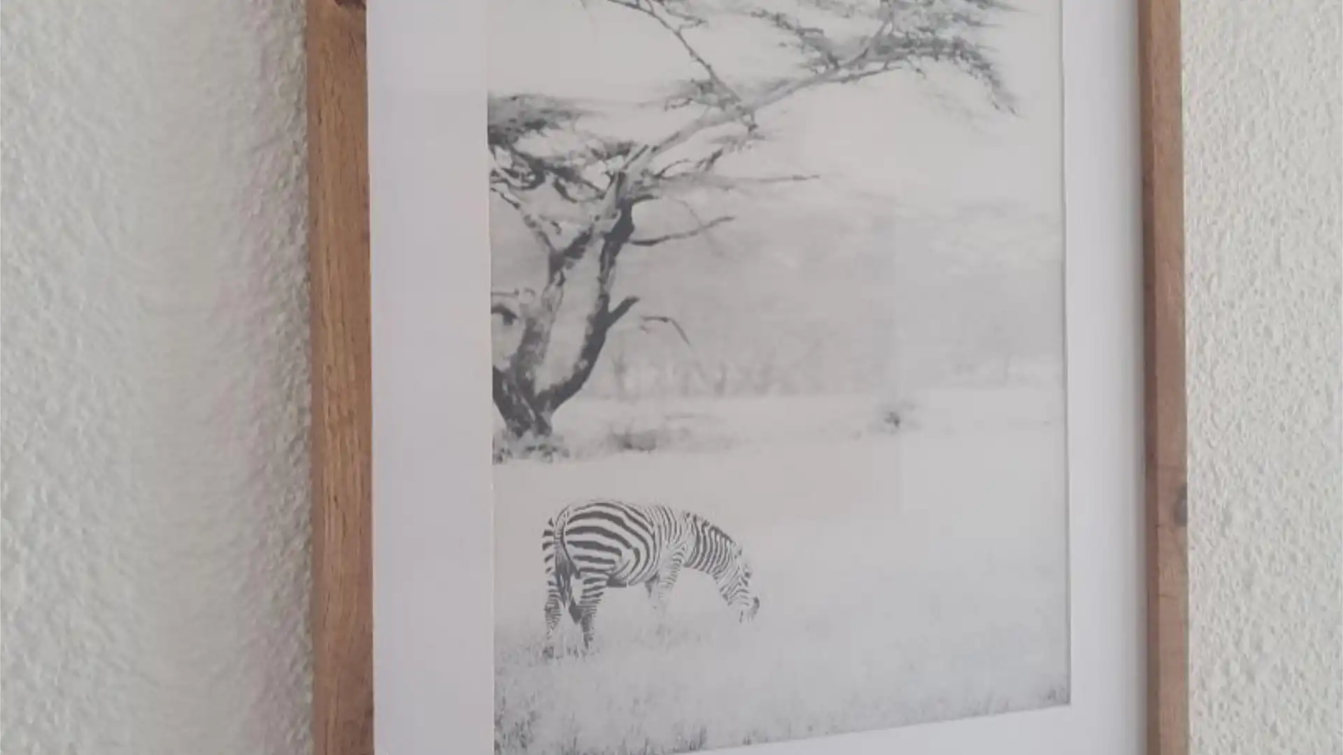 Piso en  Calle de Portugal 51 - Foto 2