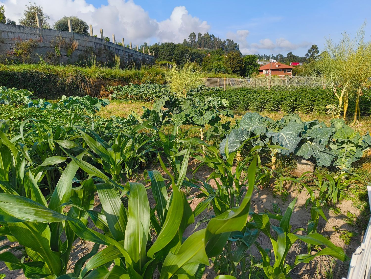 Chalet pareado en camino Sanín, 70 - Foto 28