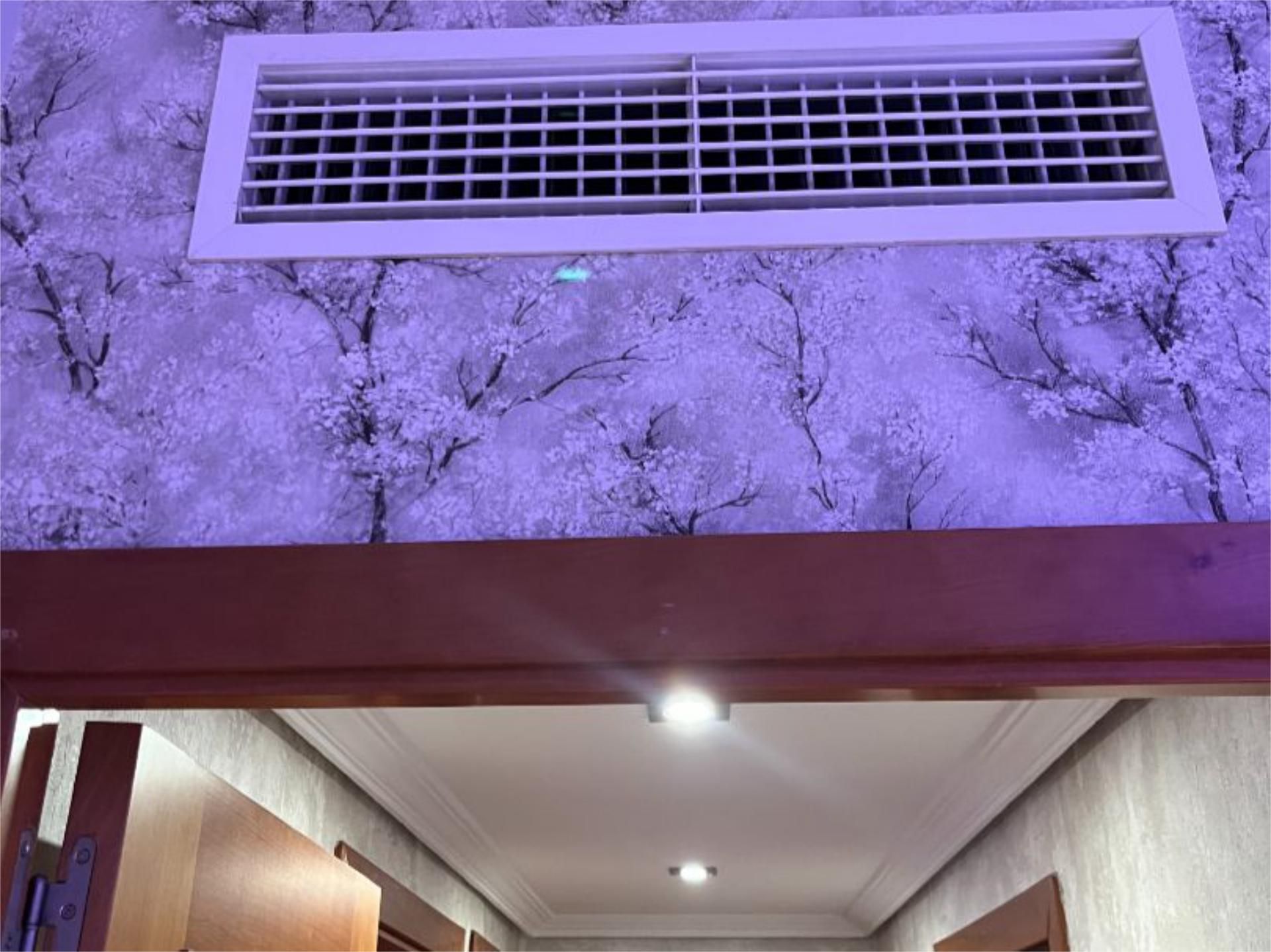 Piso en  Levante 2 - Foto 13