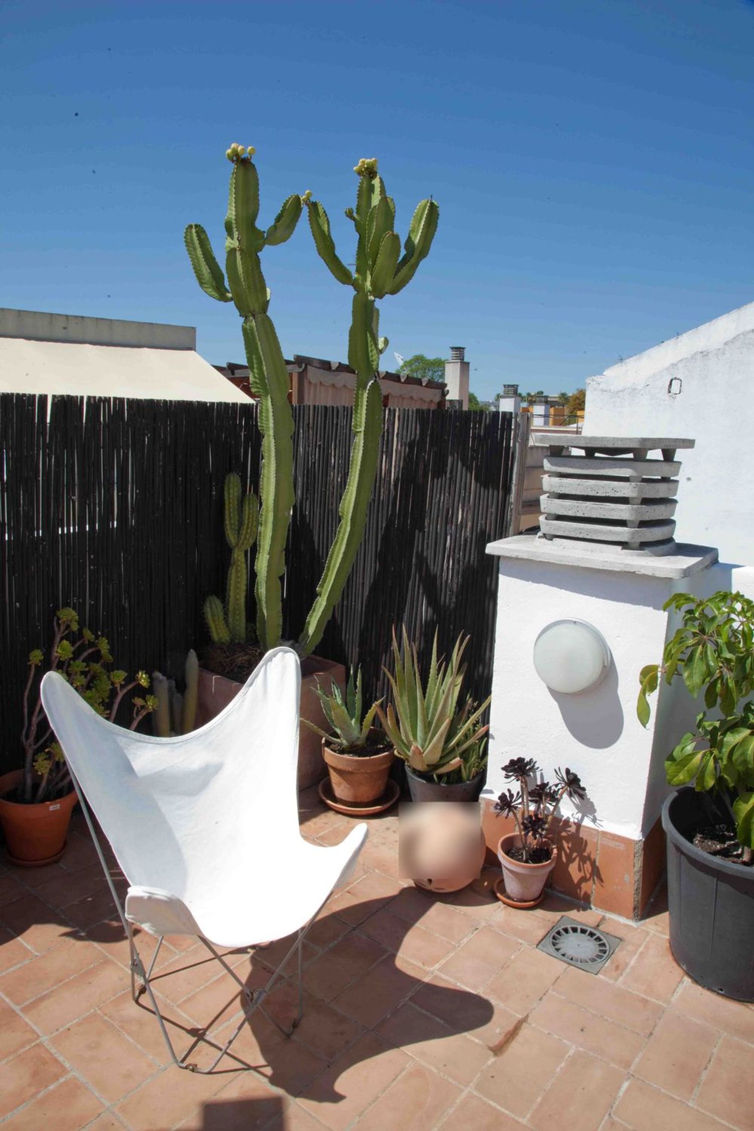 Dúplex en calle de Torreblanca, 16 - Foto 18