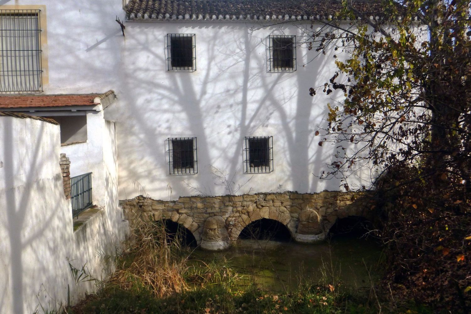 Cortijo en Calle Molino, 1 - Foto 4