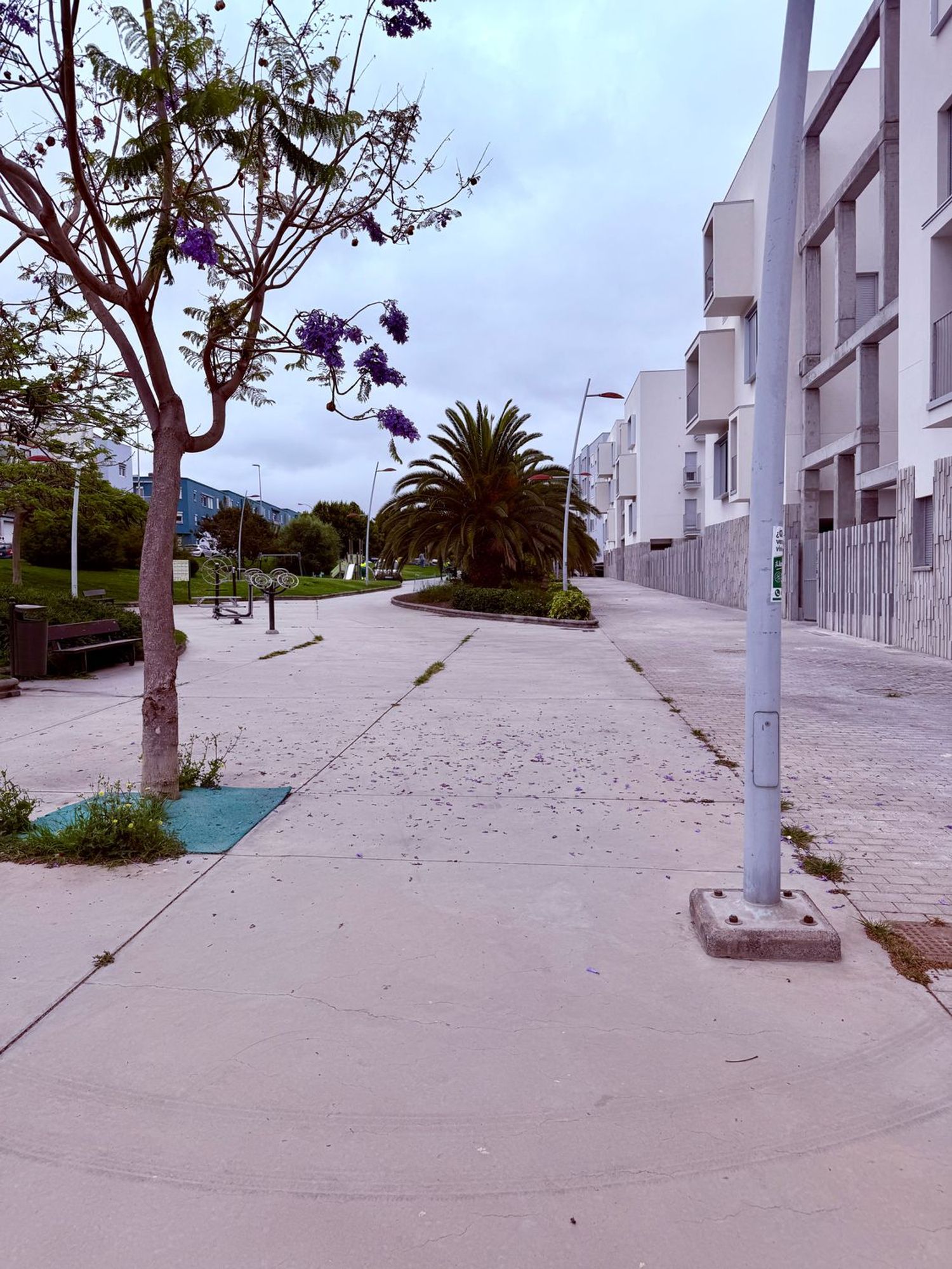 Piso en Calle Cocotero, Siete Palmas - Foto 50