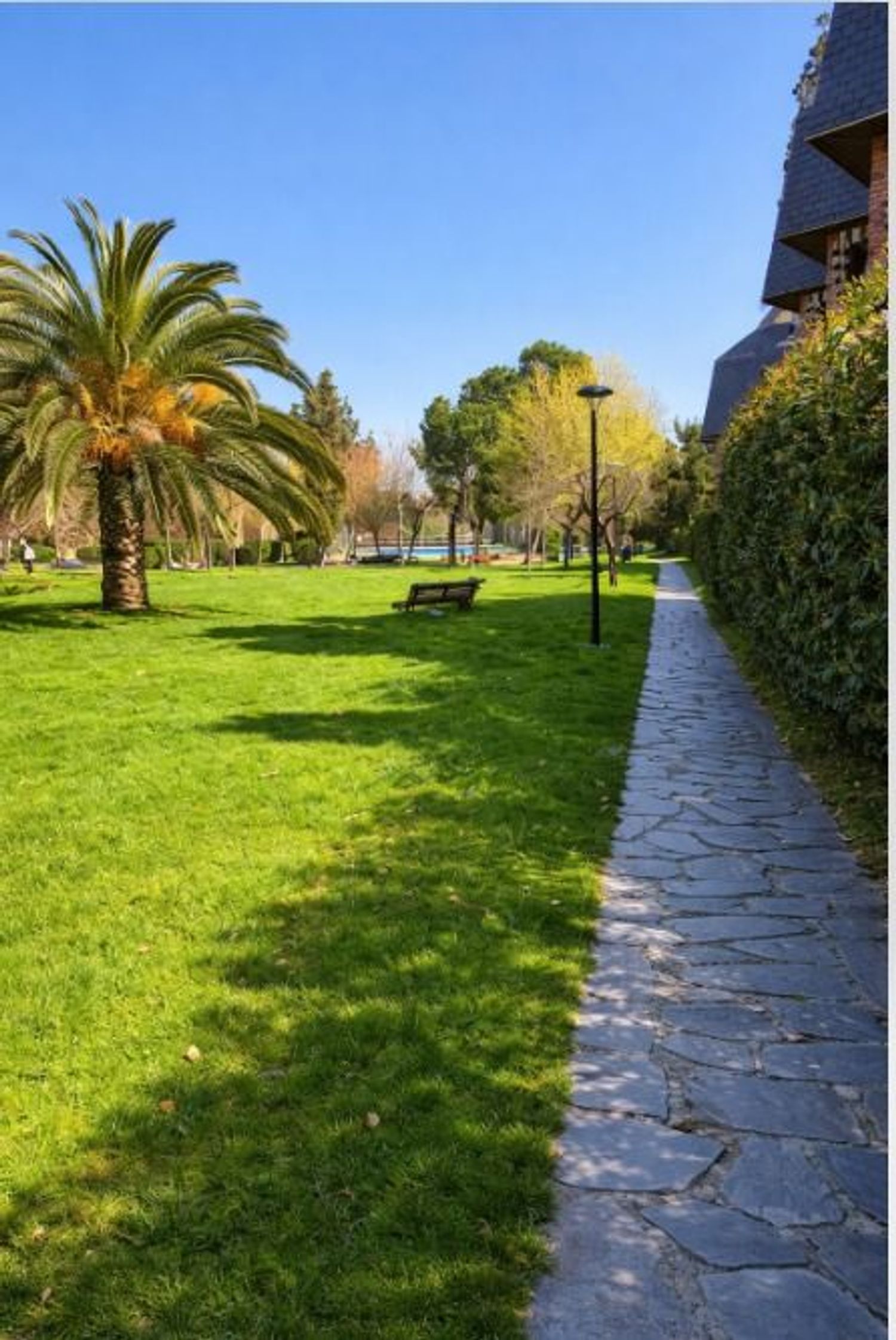 Dúplex en venta en Avenida Claveles, 21 - Foto 9