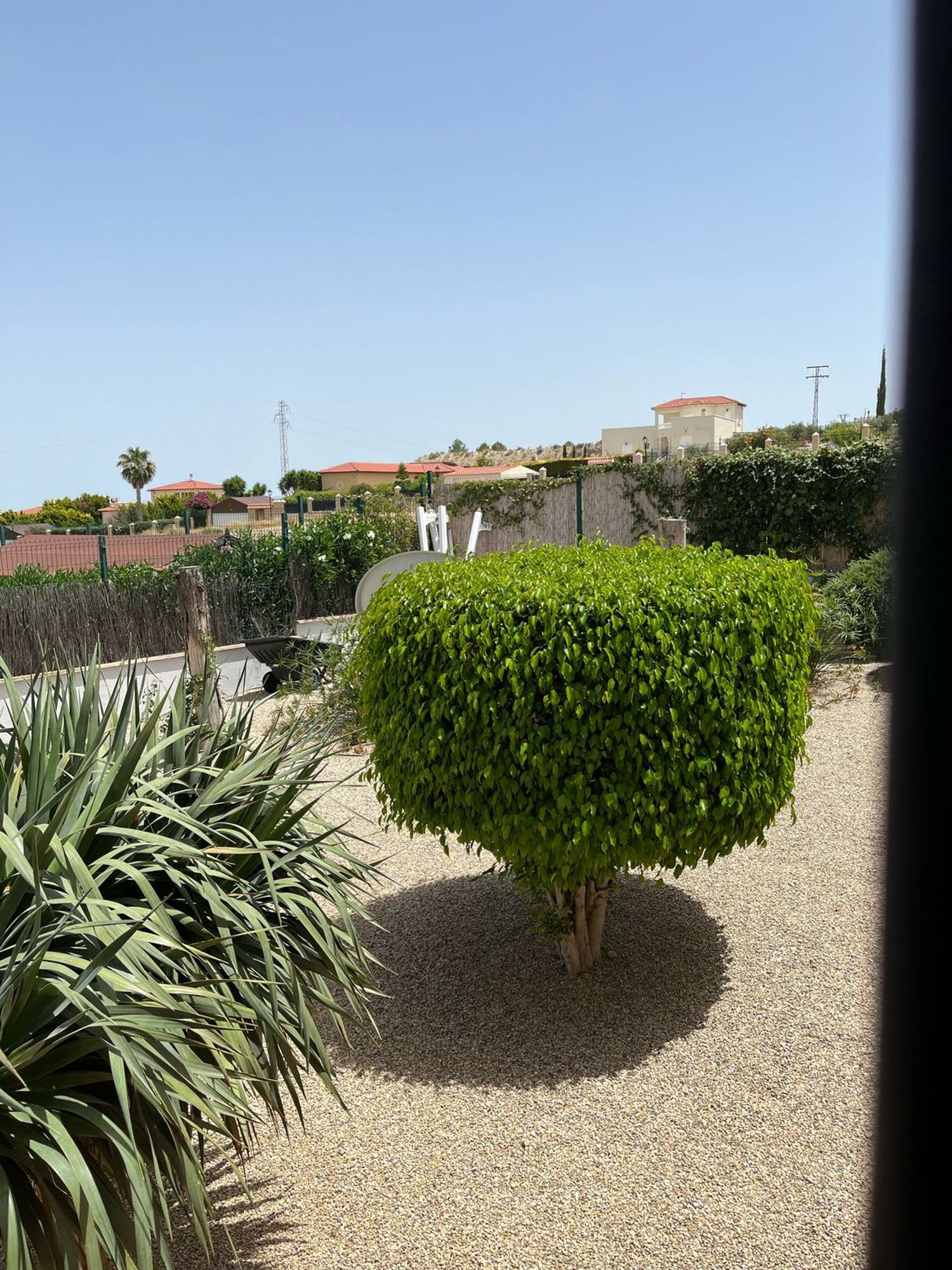 Casa o chalet independiente en Campos del Río - Foto 10