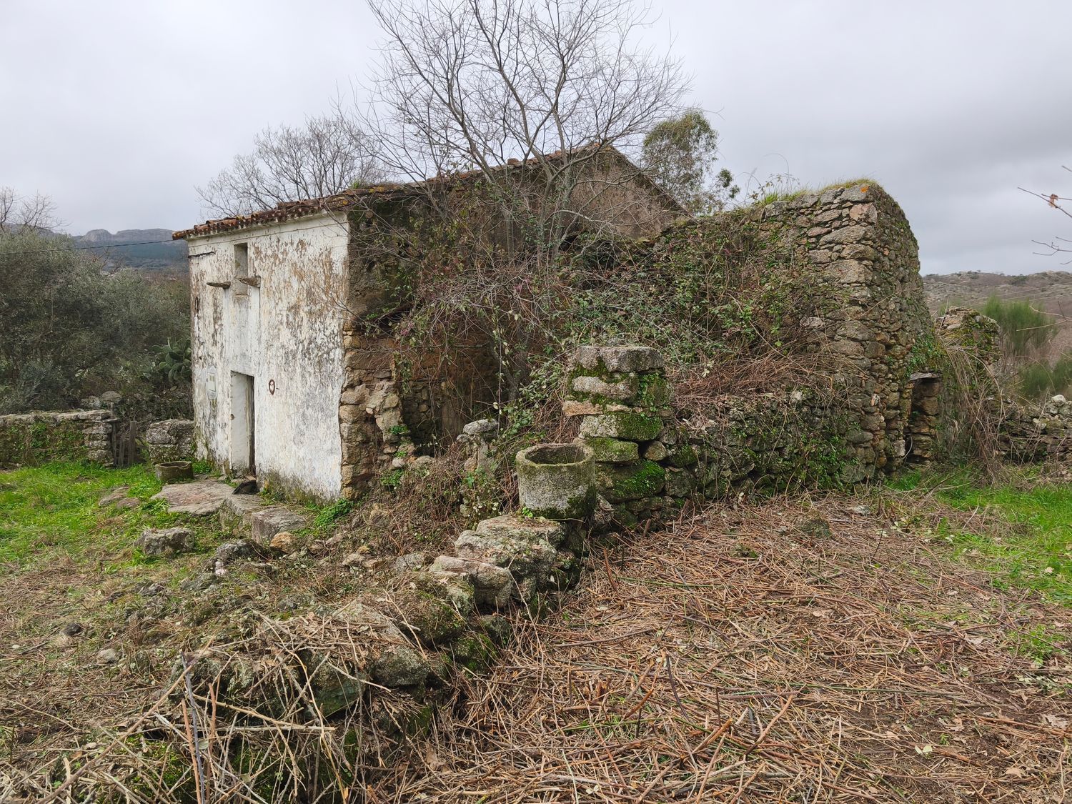 Finca rústica en Poblado los Arroyos de Abajo, 39 poligonoparcela - Foto 25