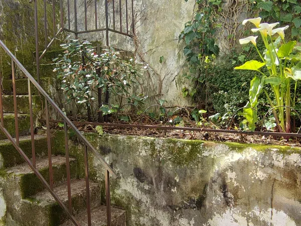 Piso en calle de Tinajas, 18 - Foto 11