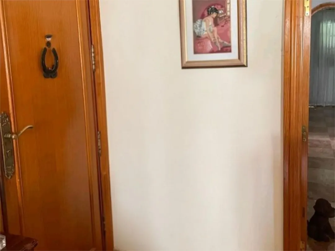 Piso en  Calle Federico Viera 32 - Foto 1