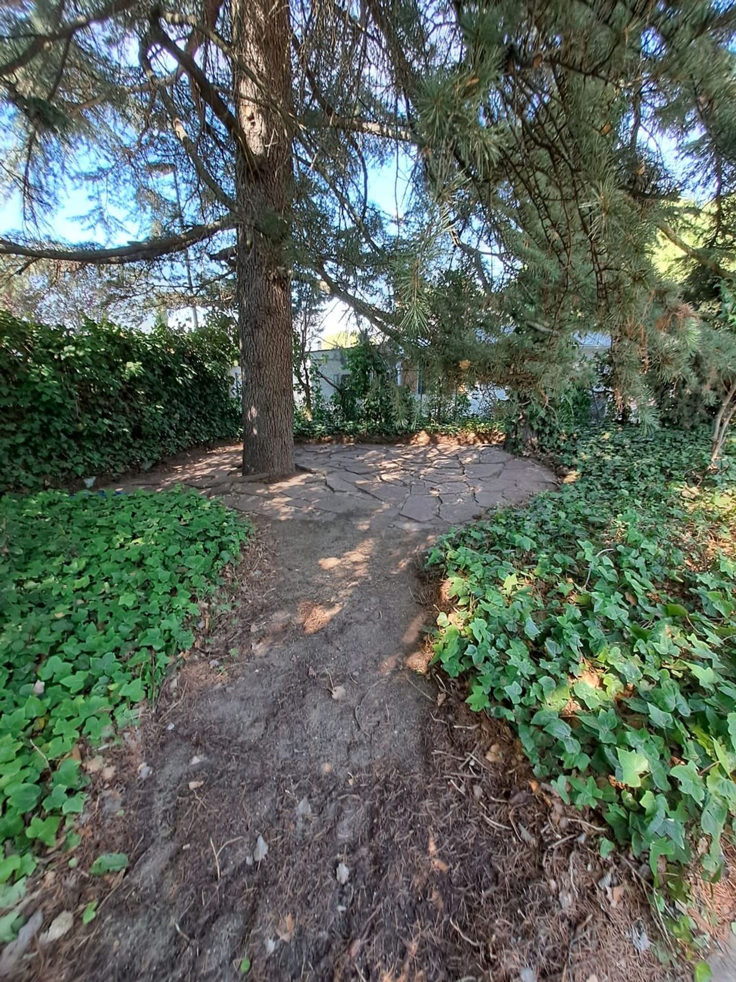 Casa independiente en calle de Santa Teresa, 18 - Foto 15