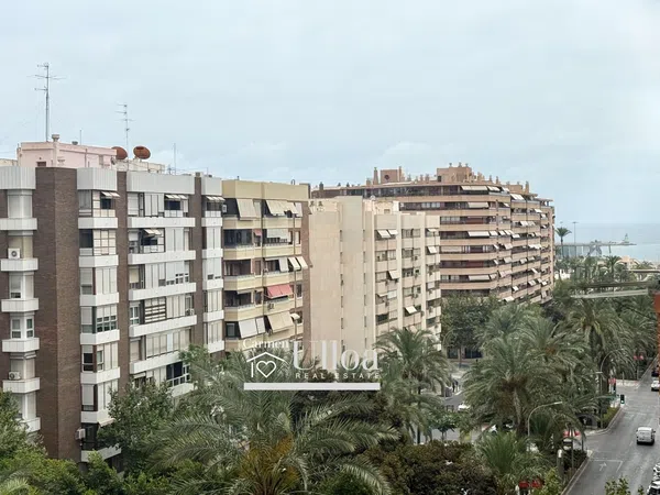 Piso en Avenida Oscar Espla, Benalúa - Foto 16