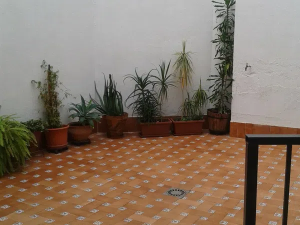 Piso en Calle Pozo, 25, Feria - Foto 7