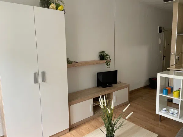 Estudio en Calle San Vicente, 101, San Vicente - Foto 3