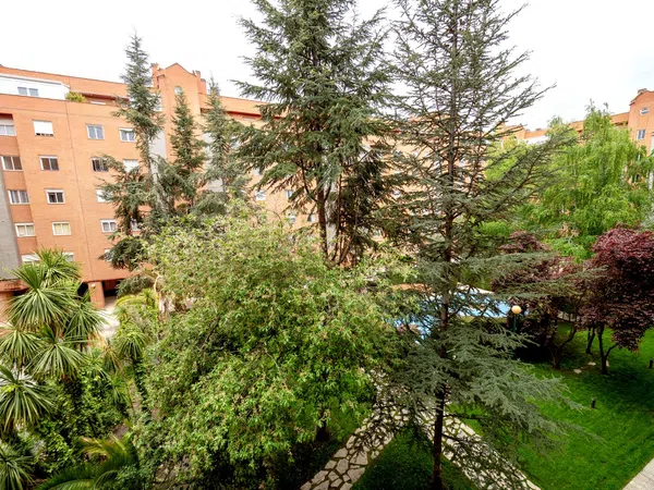 Piso en calle de la Aurora, 23 - Foto 10