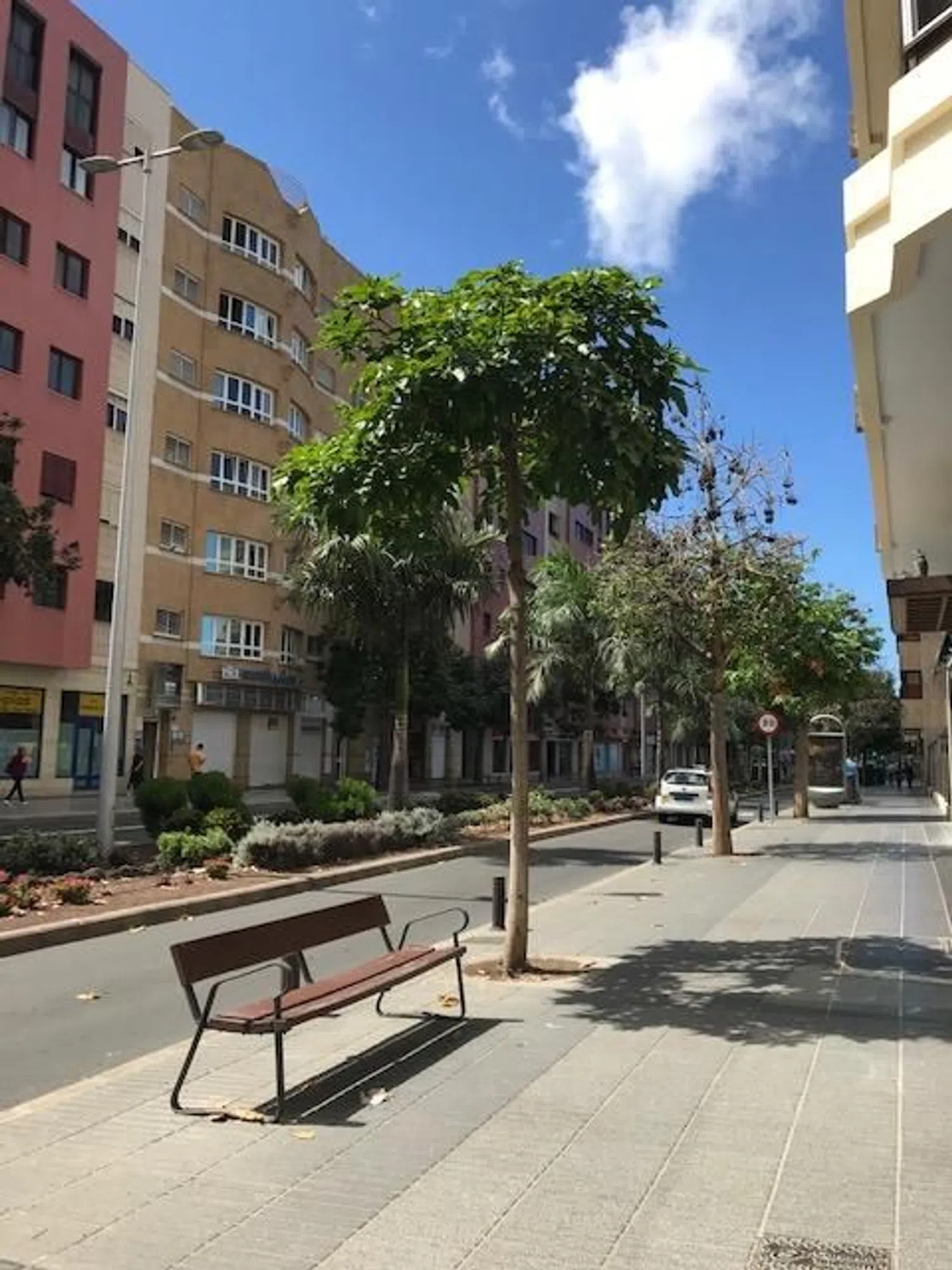 Piso en calle Luis Doreste Silva, 14 - Foto 39