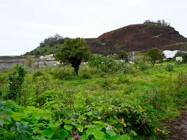 Terreno Industrial en  Calle la Trilladora 2 - Foto 7