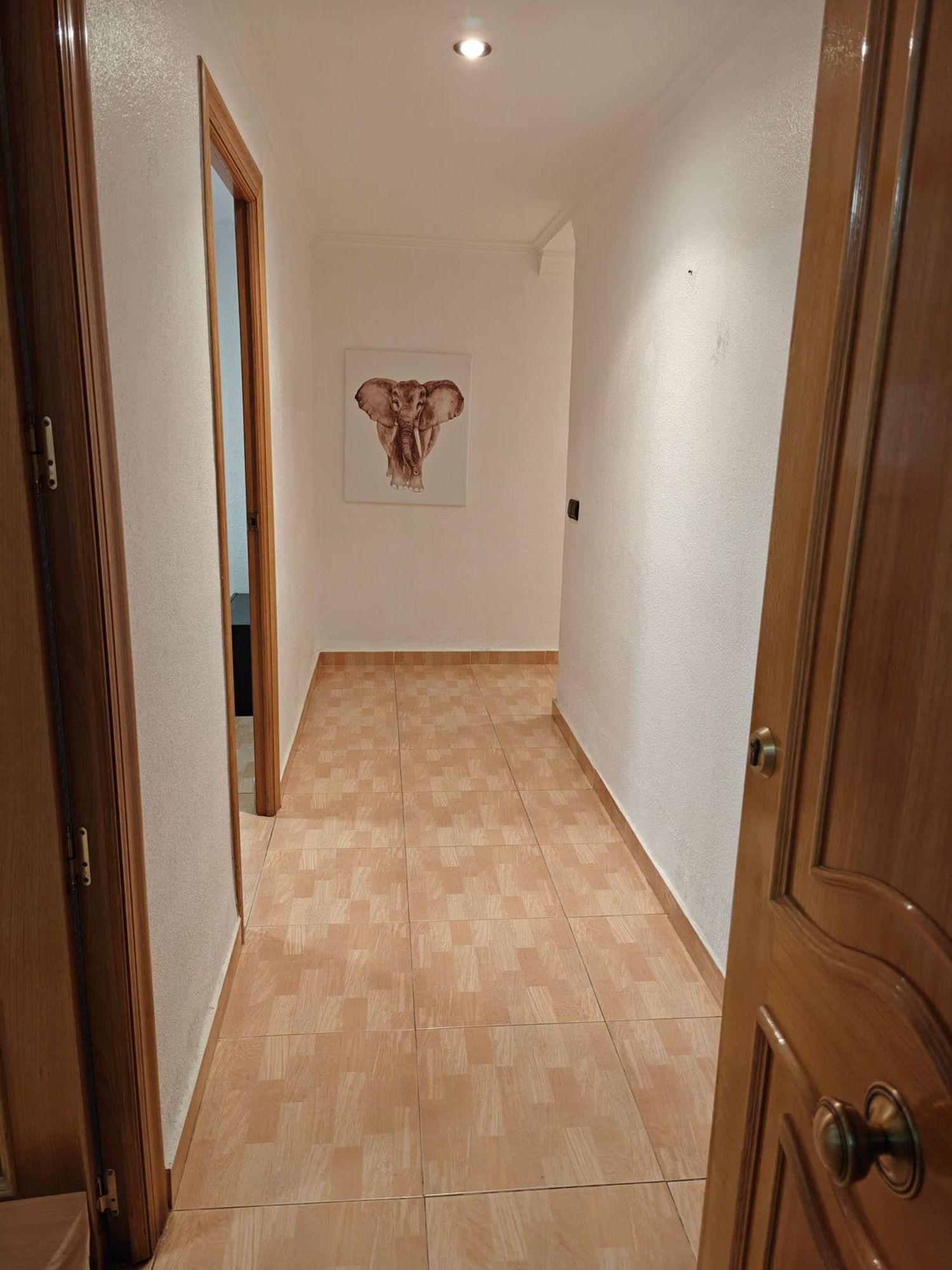 Piso en Fraternidad - Foto 3