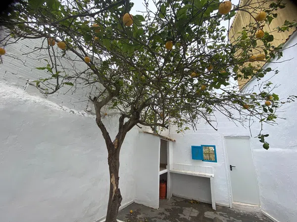 Casa de pueblo en Calle Sau-Mareny Vilches, 280 - Foto 12