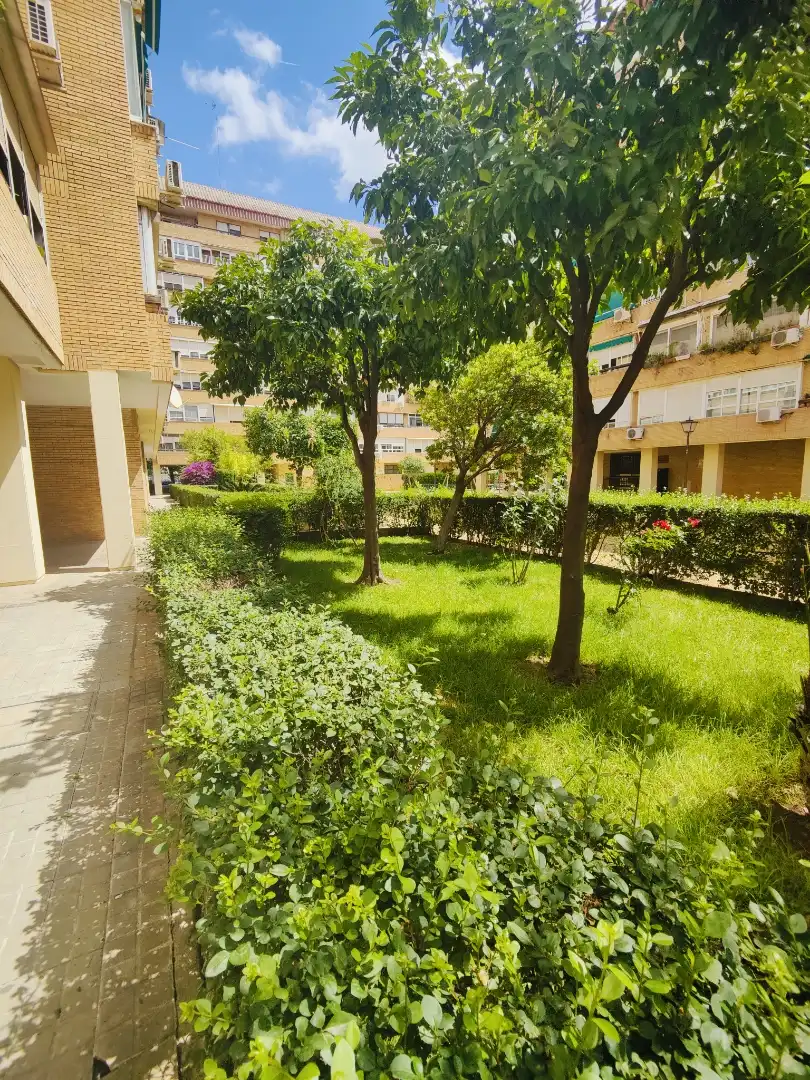 Piso en  Calle Beatriz de Suabia 146 - Foto 3