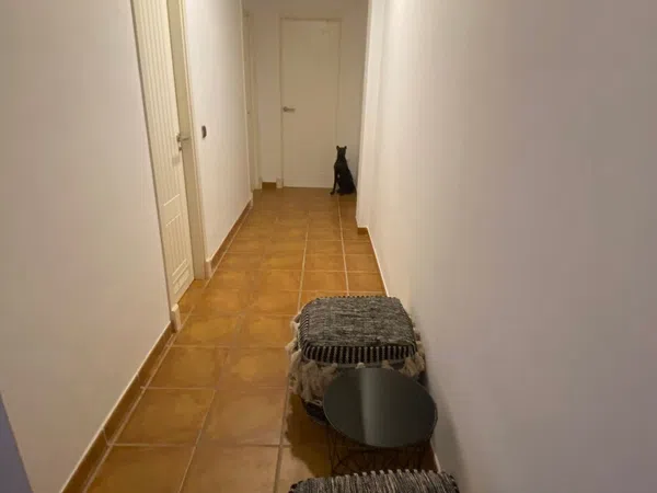 Piso en Calle Chopo, 29679, El Paraíso, El Paraíso - Foto 6