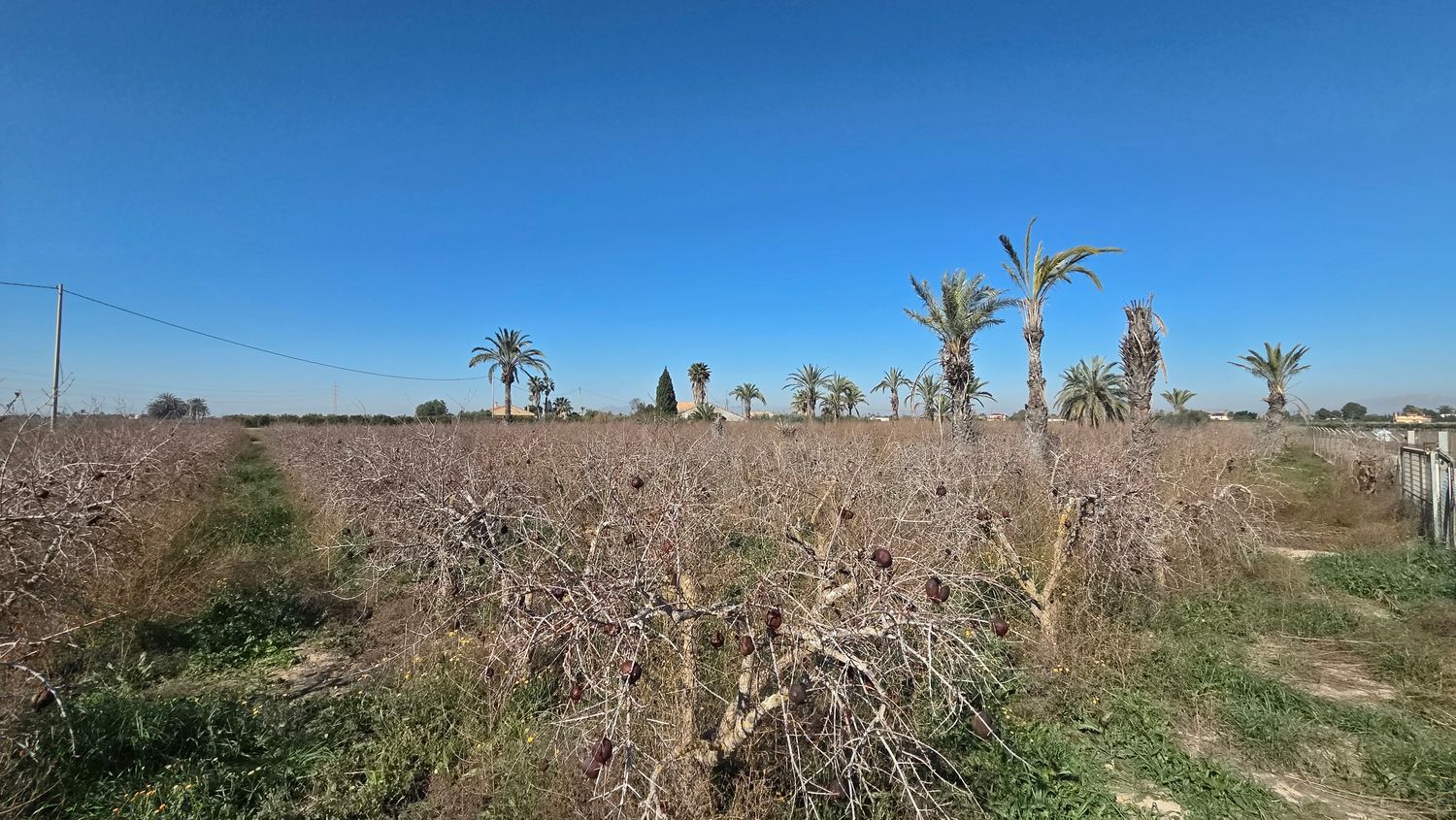 Casa independiente en camino de les Cases Juntes, 100 - Foto 6