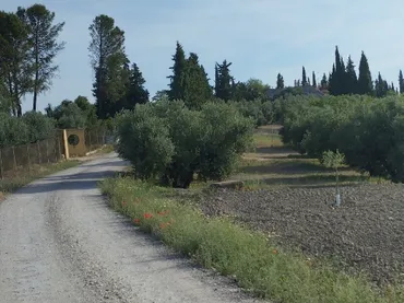 Finca rústica en  Carretera Córdoba - Málaga S-N - Foto 1