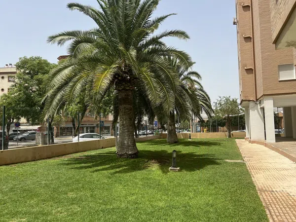 Piso en Urb los pinos, 2, Centro, Centro - Foto 19