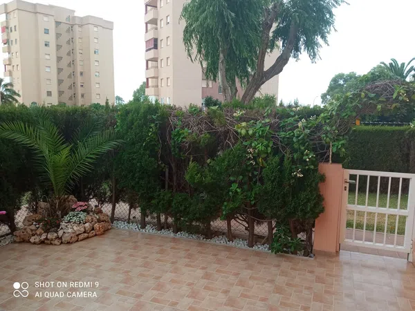 Piso en Calle Teodoro Llorente, 16, Campoamor - Foto 12
