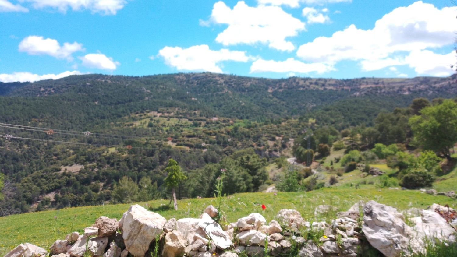 Casa rural en Aldea Montalvo s/n - Foto 10
