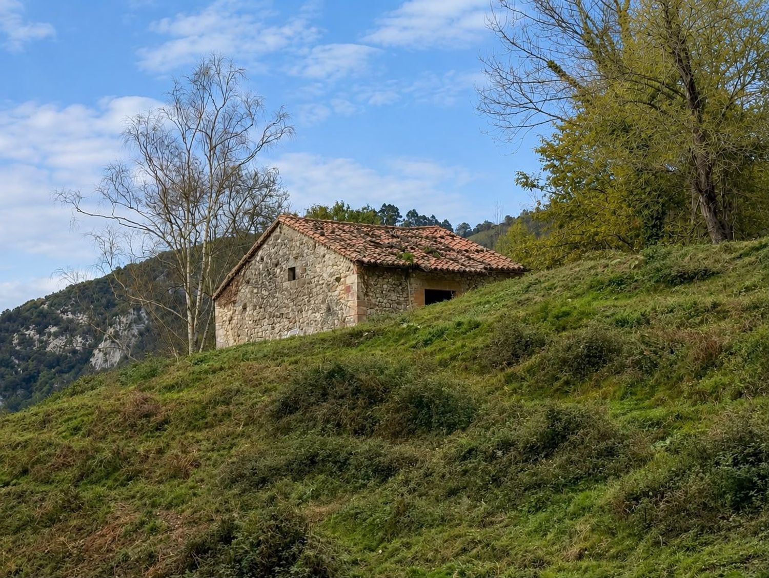 Casa rural en Pista de Riclones s/n - Foto 3