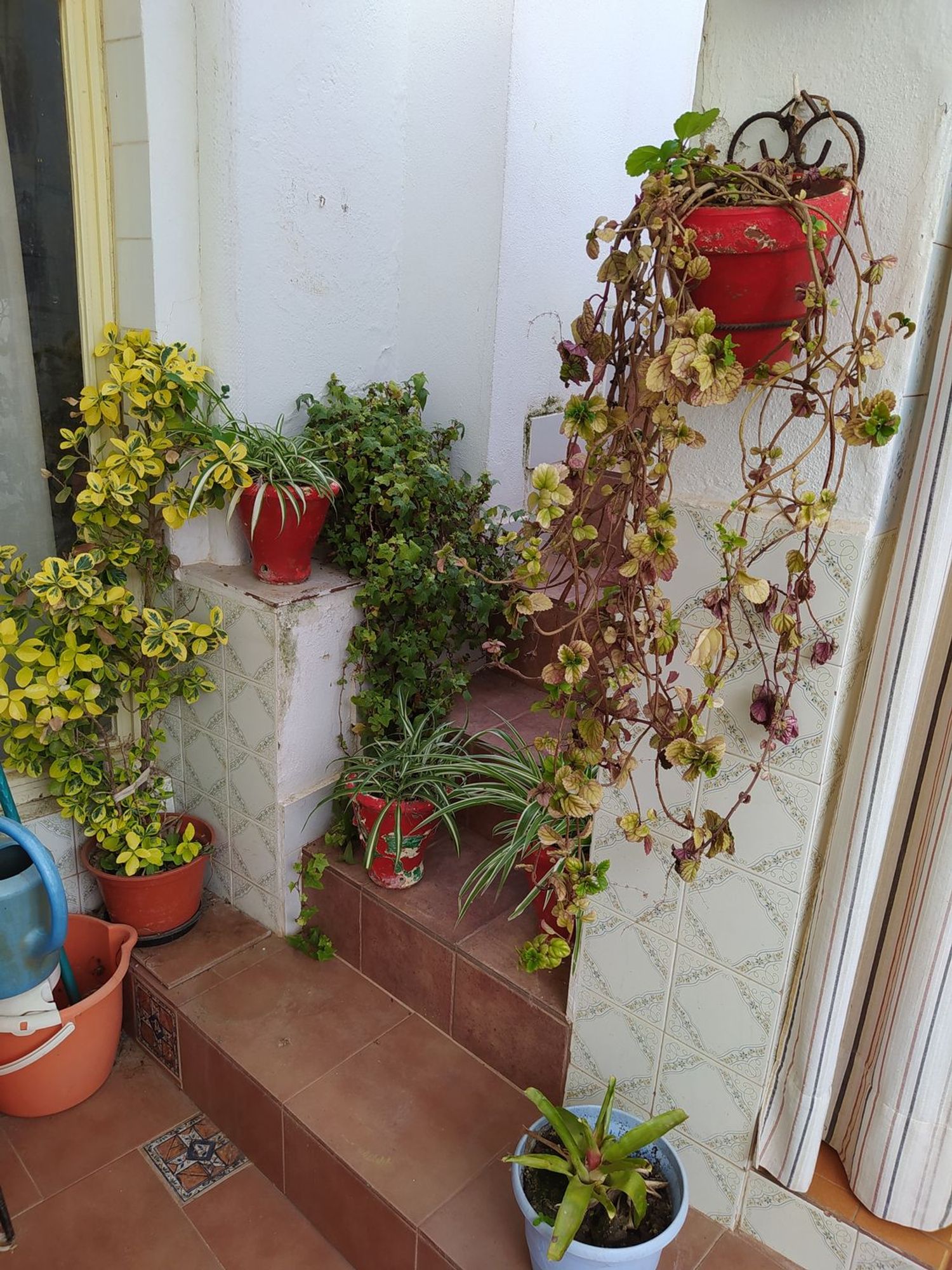 Casa de pueblo en Calle San Antón, 13 - Foto 9
