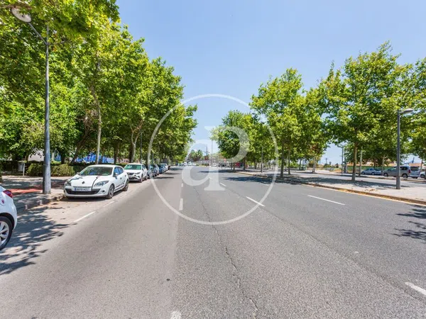 Ático en Calle d'Antonio Ferrandis, Ciutat de les Arts i de les Ciencies - Foto 53