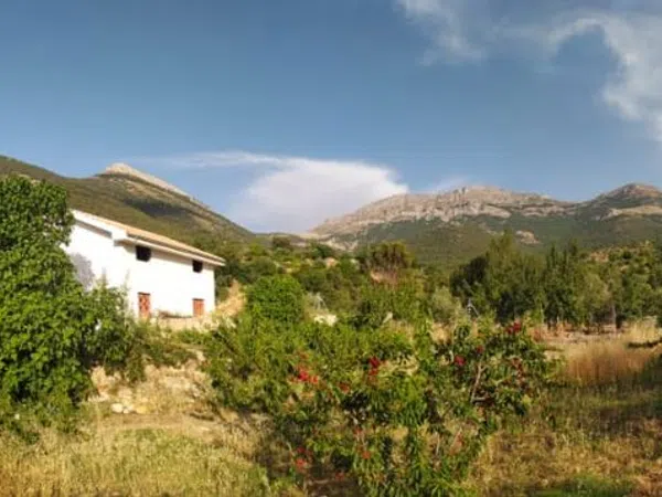 Casa rural en Camino de Almadén s/n - Foto 4