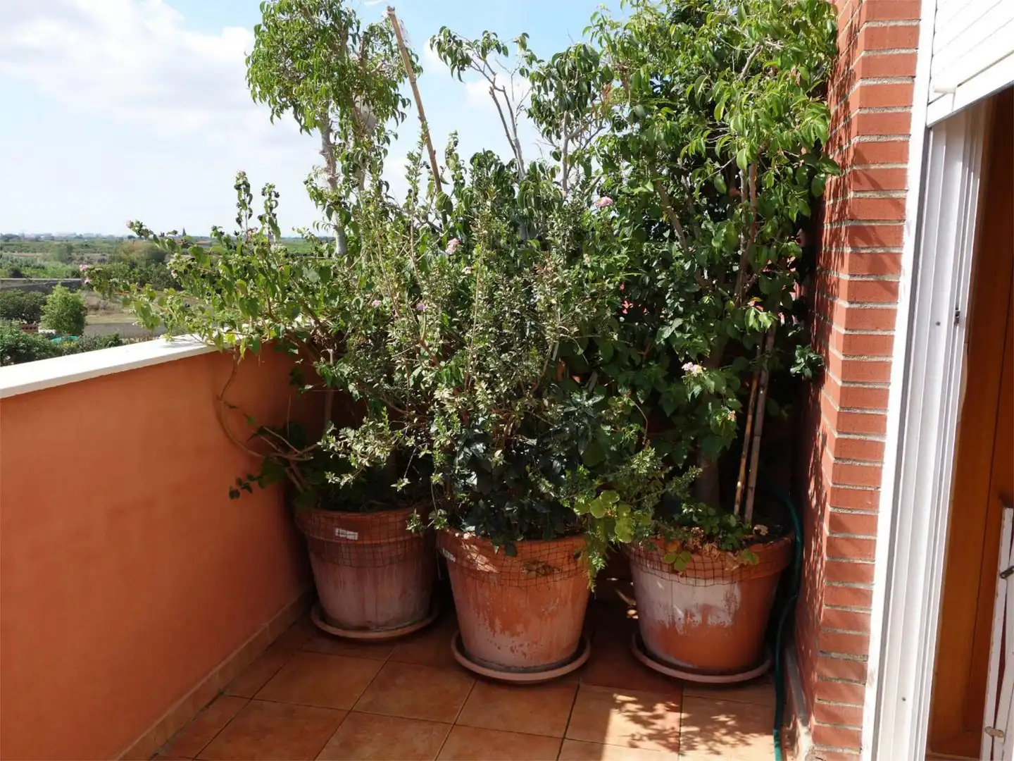 Chalet en  Carrer de Sant Jaume 205 - Foto 16