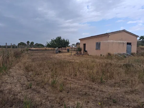 Finca rústica en Camino des Pou Nou, 2 - Foto 2