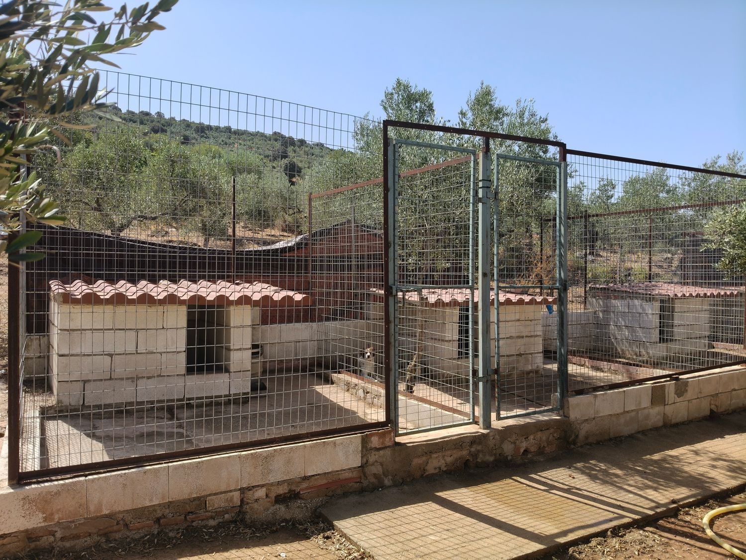 Finca rústica en Calle Zorro, 16 - Foto 4