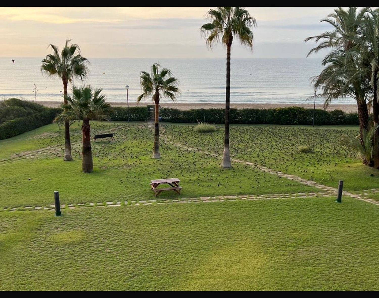 Piso en calle dels Tellinaires, 18 - Foto 22