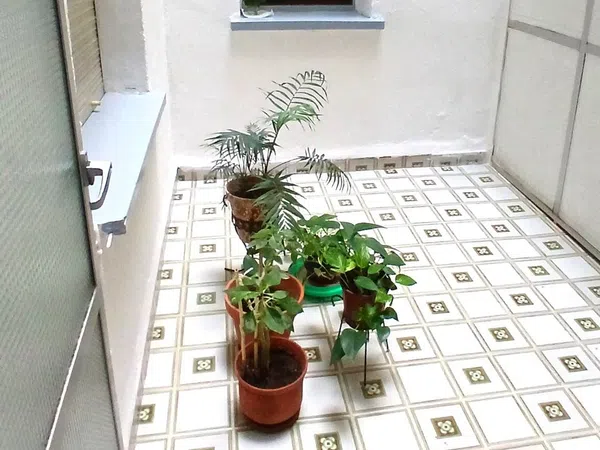 Piso en Calle del Seis de Junio, 44, Centro, Centro - Foto 28