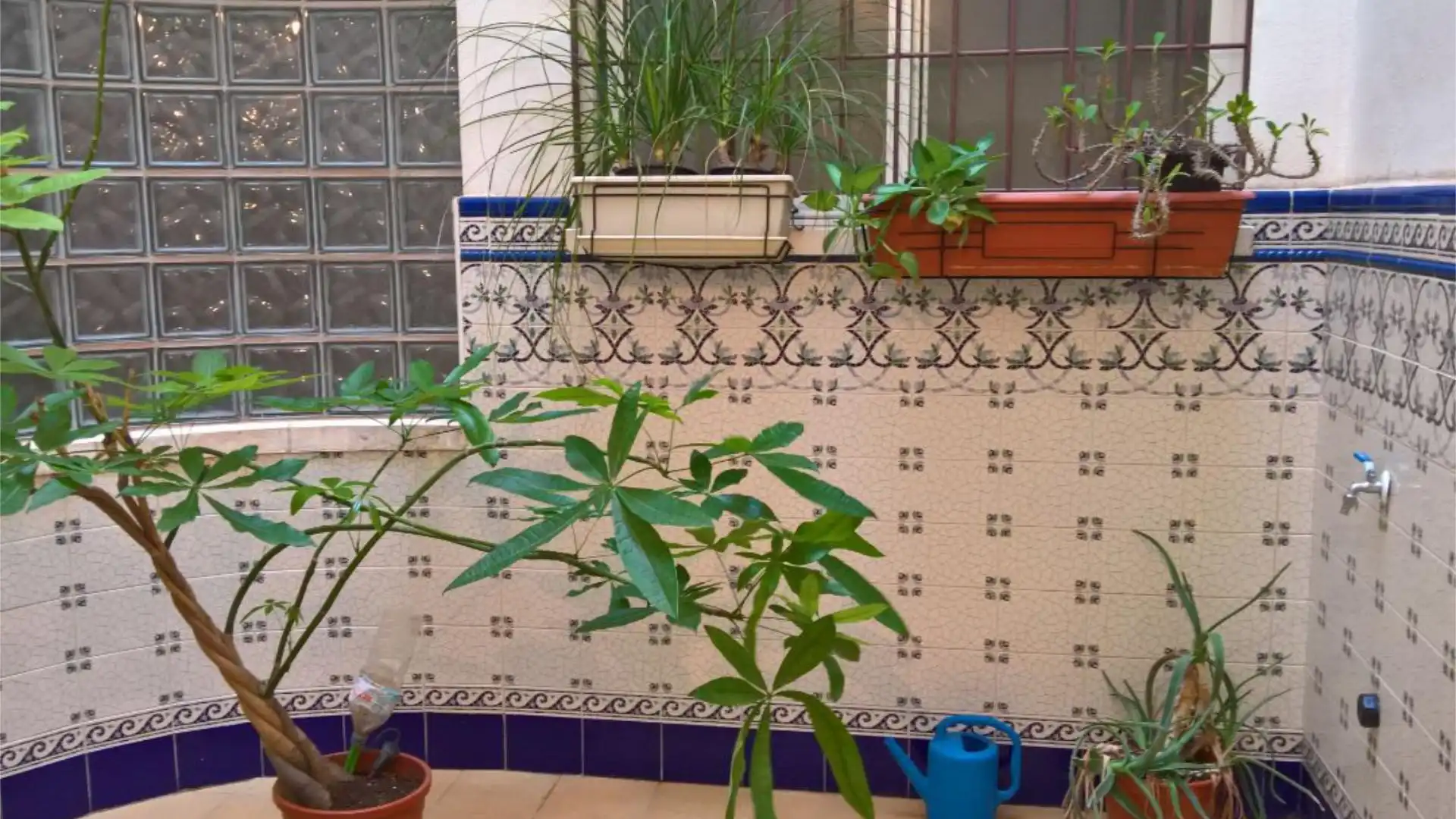 Piso en  Carrer Biar 17 - Foto 17