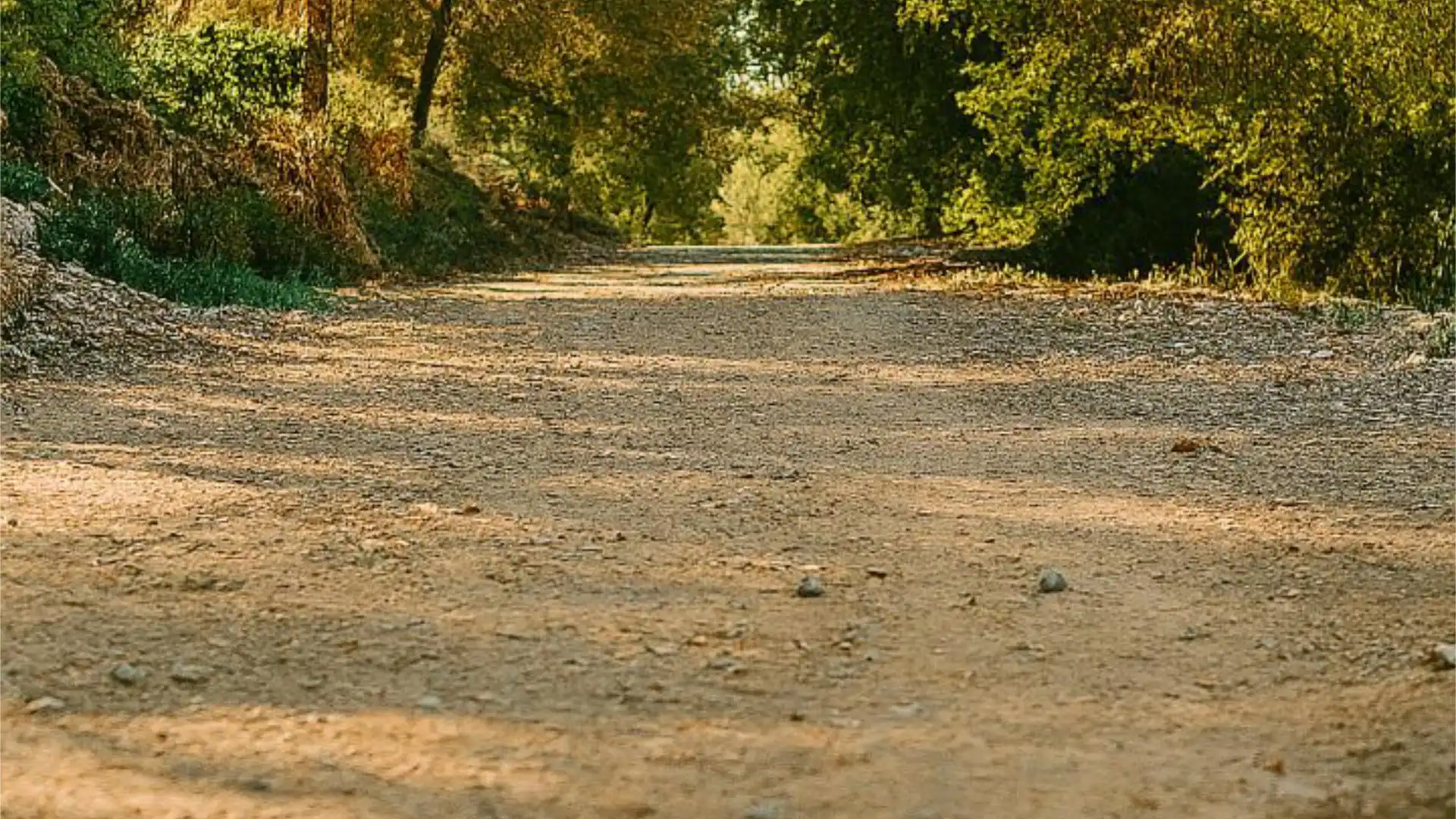 Casa adosada en  Calle Gran Vía 51 - Foto 35