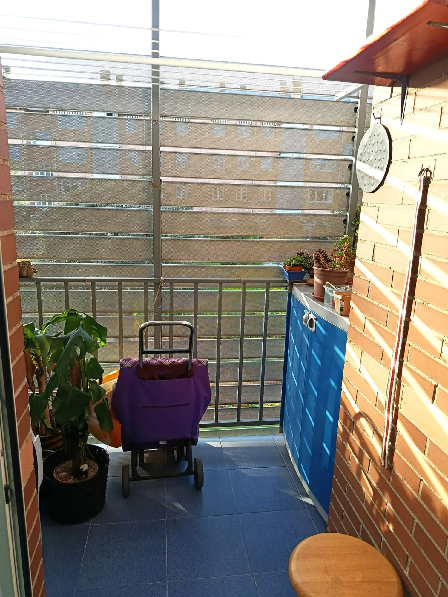 Piso en Urb. si Golf - El Carralero - Foto 9