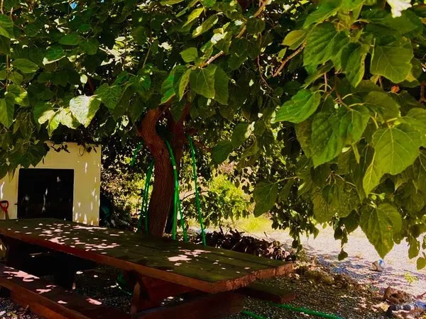 Finca rústica en Parcela, 80 - Foto 2