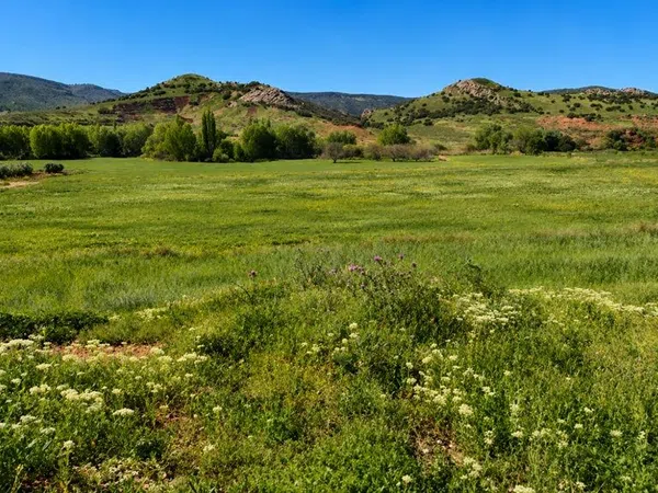 Cortijo en Carretera Ciudad Real-Murcia s/n - Foto 4