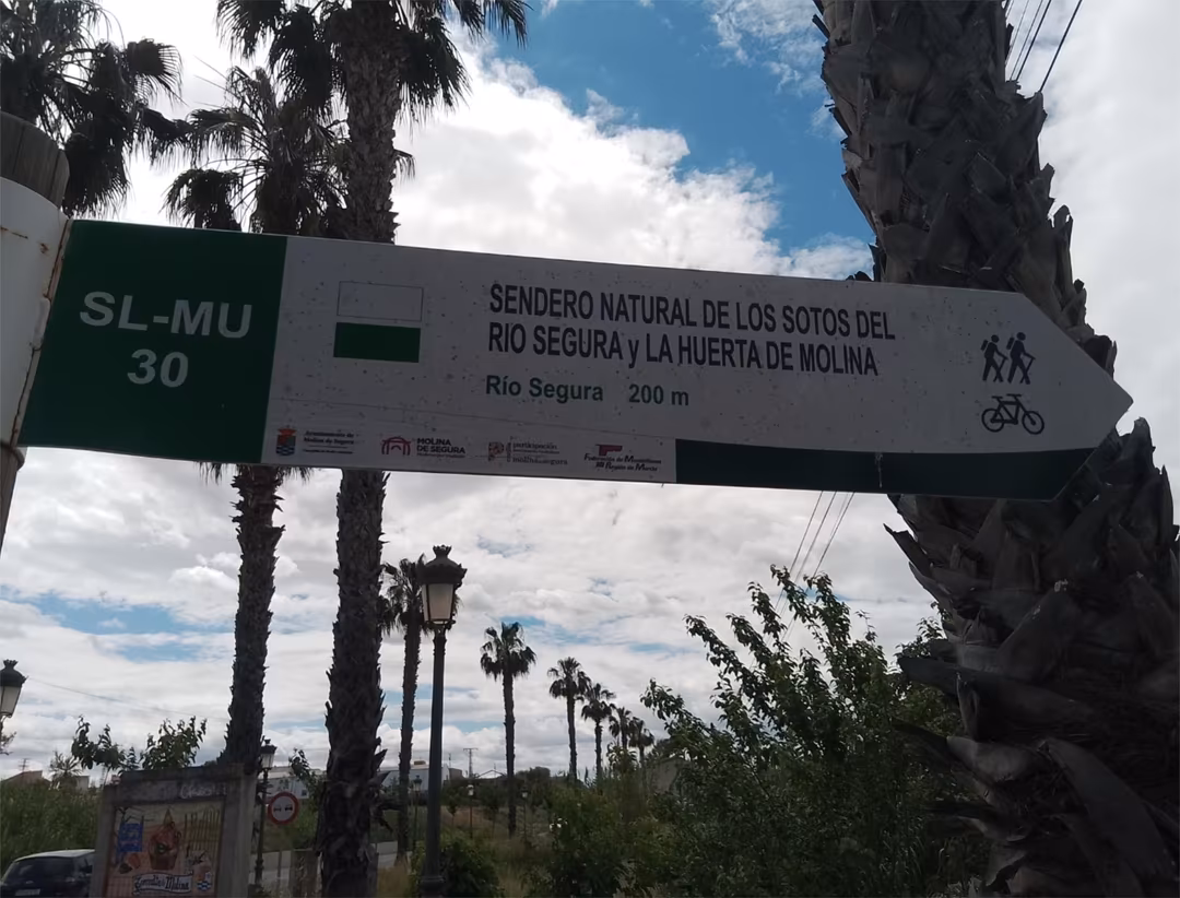 Finca rústica en  Camino de la Ermita 2 - Foto 3