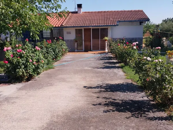 Finca rústica en Camino Cascajo s/n - Foto 2