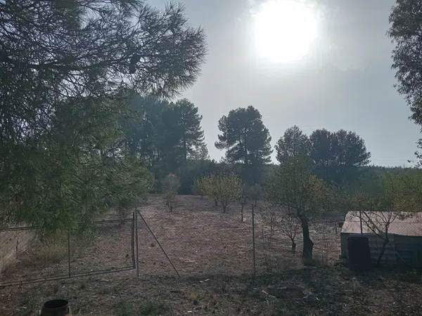 Finca rústica en Poligono 2, 121 Parcela - Foto 3