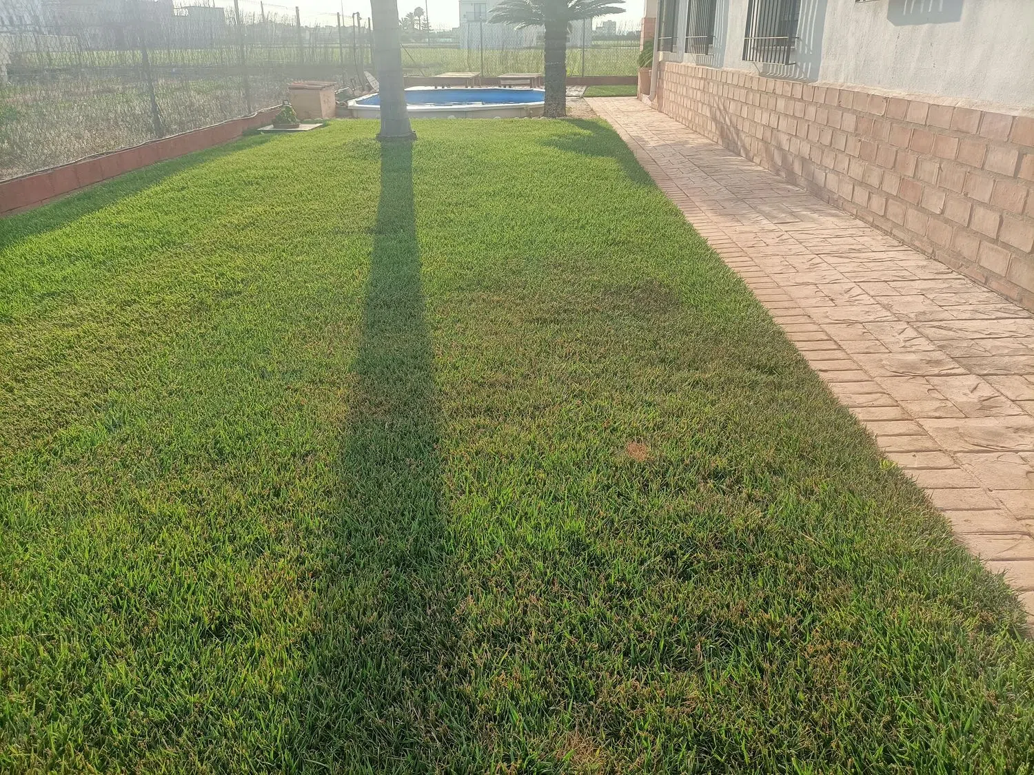 Piso - Foto 19