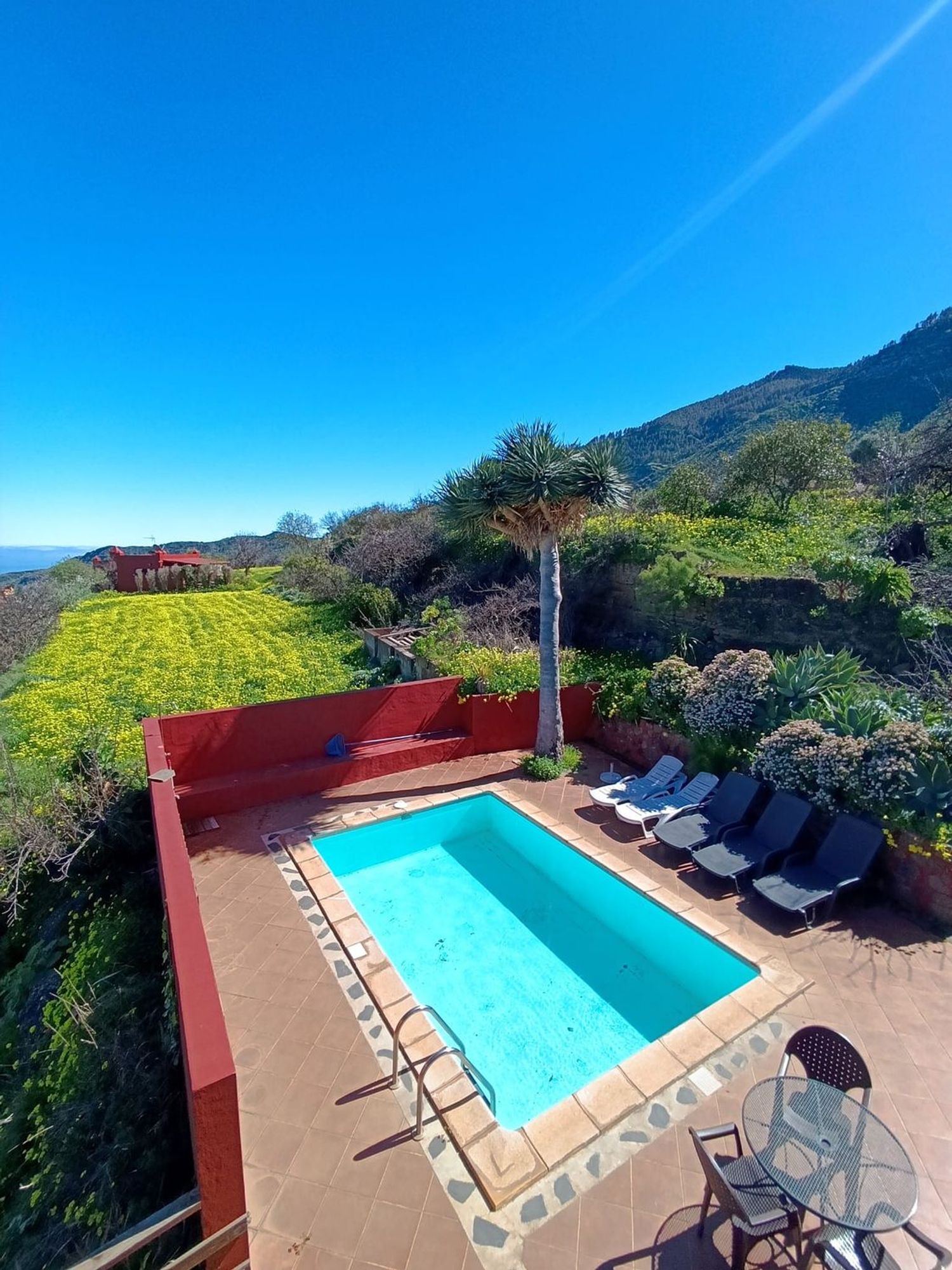 Casa o chalet independiente en Calle finca del pedregal s/n - Foto 13