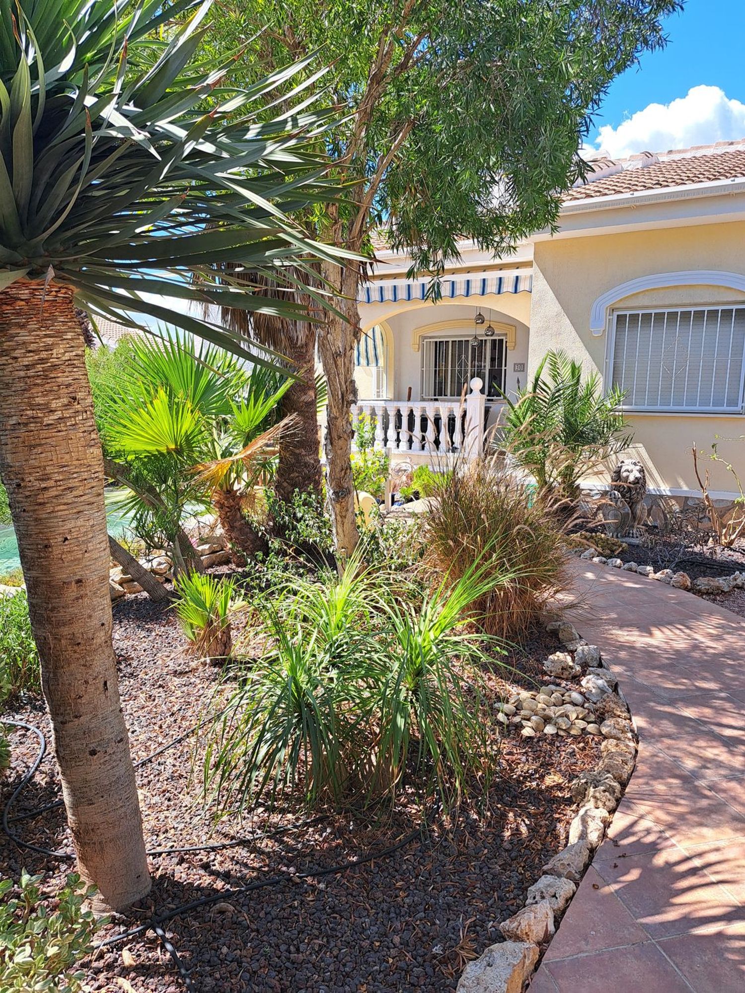 Casa o chalet independiente en Calle Isla Menorca Número 2, 30, La Fiesta - Foto 5