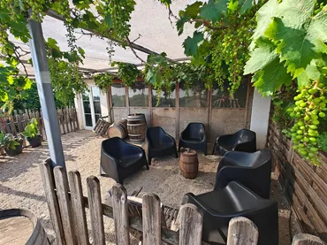 Finca rústica en Algemesí - Foto 17
