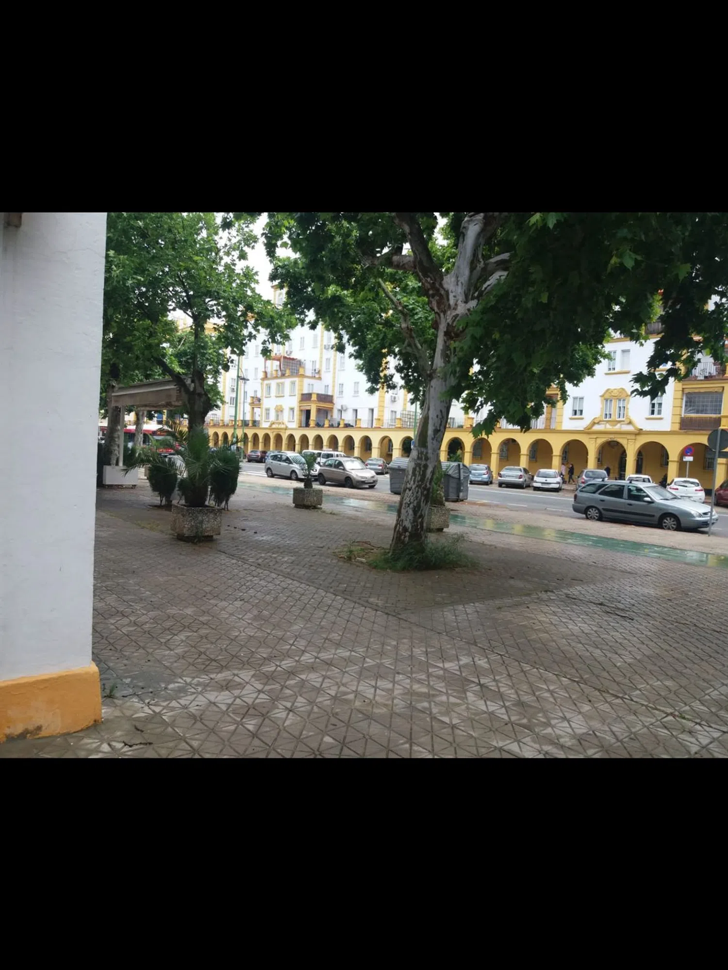 Piso en avenida de la Reina Mercedes, 59 - Foto 4